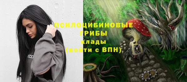твердый Покров
