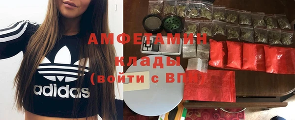 ГАЛЛЮЦИНОГЕННЫЕ ГРИБЫ Алзамай