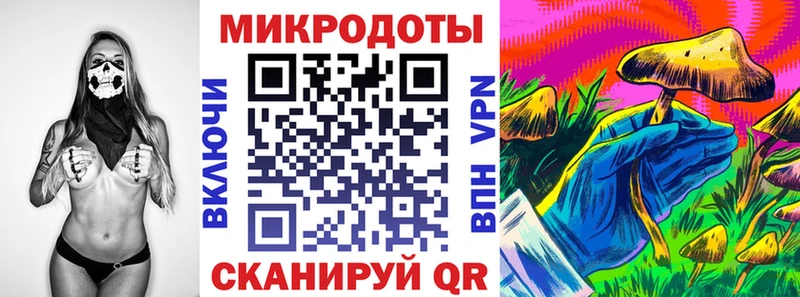 Псилоцибиновые грибы MAGIC MUSHROOMS  сайты даркнета Telegram  Елабуга  купить закладку 