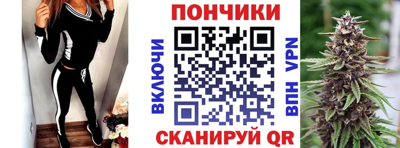 где найти наркотики  Елабуга  Бошки марихуана семена 